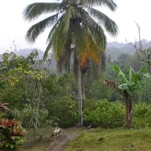 Meet your Posher, Ramonita